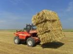 gesneden en ongesneden graszaadhooi volop leverbaar