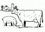 Agrarische verzekeringen