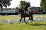 IS JOUW PAARD GELUKKIG
