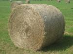 Hooi in balen hooi ronde balen ronde balen rol