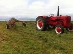Nette Cormick d432