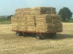 hooi en stro in heston pakken ongeveer 100 kg