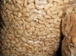 Raw cashew nuts Cashew Kernels WW320450240SW