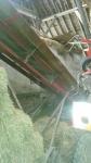 Miedema Transporteur te koop