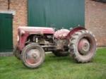 Ferguson old timer