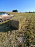 Hooi in kubieke balen voor paarden