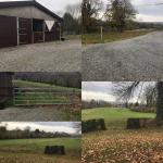 Paardenstallen met weidegang te huur