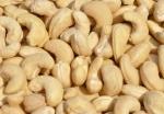 cashew nuts and other nuts in stock now