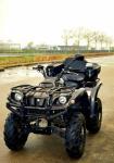 Yamaha grizzly special edition