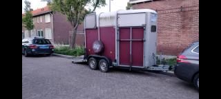 Ifor Williams 505R Paardentrailer