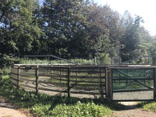 Stapmolen 4 paarden wegens bedrijfsbeindiging