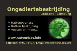 Rattenbestrijding ratten overlast
